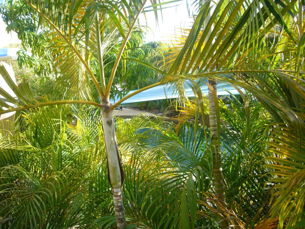 Pacific Sands Apartments Cairns Exterior foto